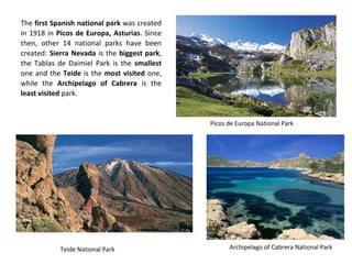 The first Spanish national park was created
in 1918 in Picos de Europa, Asturias. Since
then, other 14 national parks have been
created: Sierra Nevada is the biggest park,
the Tablas de Daimiel Park is the smallest
one and the Teide is the most visited one,
while the Archipelago of Cabrera is the
least visited park.
Picos de Europa National Park
Archipelago of Cabrera National ParkTeide National Park
 