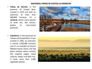 o Tablas de Daimiel, in the
province of Ciudad Real,
created in 1973 and with an
extension of more than
600,000 hectares. It’s a
wetland, where many species
of birds live, like herons,
grebes or red-crested
pochards.
o Cabañeros, in the provinces of
Toledo and Ciudad Real. It was
created in 1995, its extension
is almost 1,500,000 hectares
and it’s an example of natural
Mediterranean forest and big
plains (rañas), where animals
like imperial eagles, black
vultures, ibexes and deer live.
It hosts more than 1,000
vegetable species
NATIONAL PARKS IN CASTILE-LA MANCHA
 