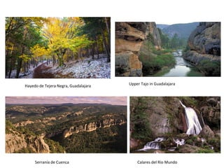 Hayedo de Tejera Negra, Guadalajara Upper Tajo in Guadalajara
Serranía de Cuenca Calares del Río Mundo
 