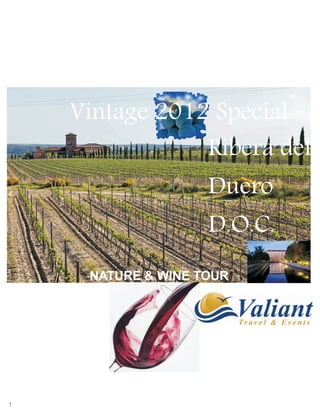 Vintage 2012 Special:
                Ribera del
                    Duero
                    D.O.C.
     NATURE & WINE TOUR




1
 