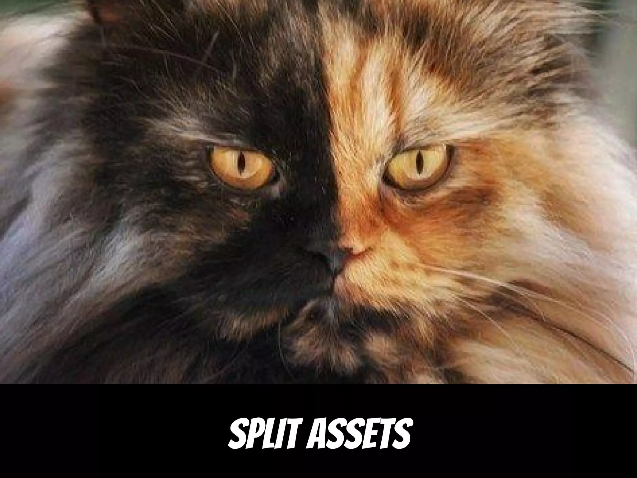 SPLIT ASSETS
 