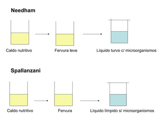 Needham




Caldo nutritivo   Fervura leve      Líquido turvo c/ microorganismos




  Spallanzani




Caldo nutritivo    Fervura       Líquido límpido s/ microorganismos
 