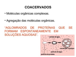 COACERVADOS
• Moléculas orgânicas complexas.

• Agregação das moléculas orgânicas.

“AGLOMRADOS DE PROTEÍNAS QUE           SE
FORMAM ESPONTANEAMENTE EM
SOLUÇÕES AQUOSAS”.
 
