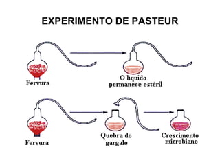 EXPERIMENTO DE PASTEUR

 