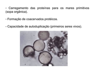 - Carregamento das proteínas para os mares primitivos
(sopa orgânica).
- Formação de coacervados protéicos.
- Capacidade de autoduplicação (primeiros seres vivos).

 