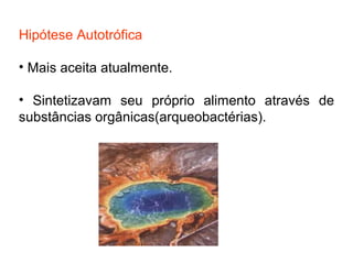 Hipótese Autotrófica
• Mais aceita atualmente.
• Sintetizavam seu próprio alimento através de
substâncias orgânicas(arqueobactérias).

 