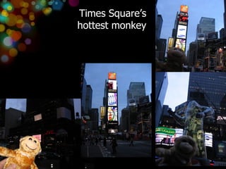 Times Square’s hottest monkey 