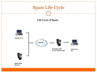 Spam Life Cycle
 