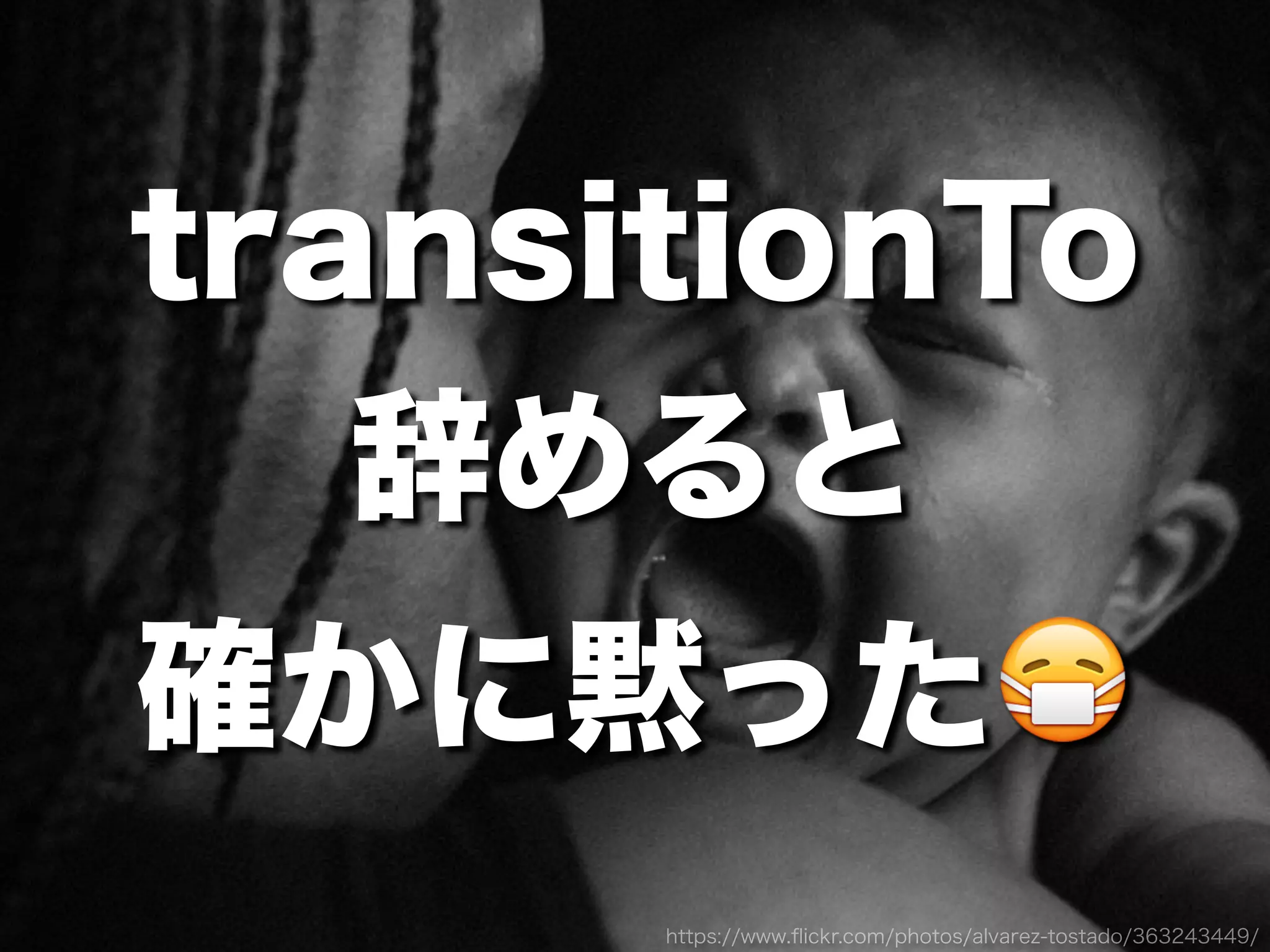 https://www.ﬂickr.com/photos/alvarez-tostado/363243449/
transitionTo
辞めると
確かに黙った😷
 