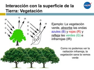Interacción con la superficie de la
Tierra: Vegetación
Ejemplo: La vegetación
verde, absorbe las ondas
azules (B) y rojas (R) y
refleja las verdes (G) e
infrarrojas (IR)
Como no podemos ver la
radiación infrarroja, la
vegetación sana la vemos
verde
 