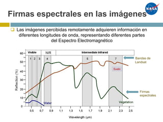 Firmas espectrales en las imágenes
Bandas de
Landsat
Firmas
espectrales
q Las imágenes percibidas remotamente adquieren información en
diferentes longitudes de onda, representando diferentes partes
del Espectro Electromagnético
Suelo
 
