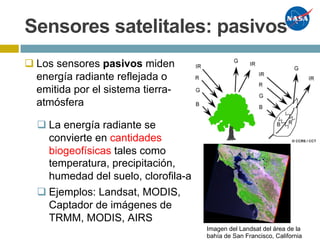Sensores satelitales: pasivos
Imagen del Landsat del área de la
bahía de San Francisco, California
q Los sensores pasivos miden
energía radiante reflejada o
emitida por el sistema tierra-
atmósfera
q La energía radiante se
convierte en cantidades
biogeofísicas tales como
temperatura, precipitación,
humedad del suelo, clorofila-a
q Ejemplos: Landsat, MODIS,
Captador de imágenes de
TRMM, MODIS, AIRS
 