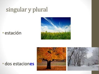 singular y plural
•estación
•dos estaciones
 