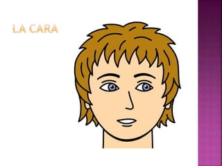 Span 2 unit 2 lesson 2