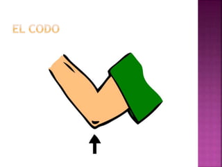 Span 2 unit 2 lesson 2