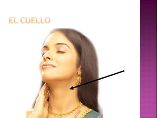 Span 2 unit 2 lesson 2