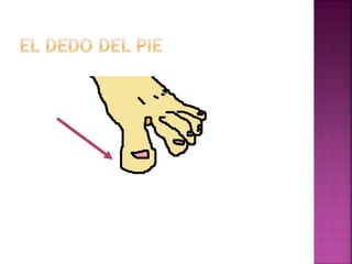 Span 2 unit 2 lesson 2