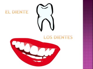 Span 2 unit 2 lesson 2