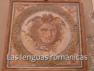 Las lenguas románicasLas lenguas románicas
Por Calafellvalo, http://www.flickr.com/photos/calafellvalo/2167277026/, http://creativecommons.org/licenses/by-nc/2.0/deed.en
 