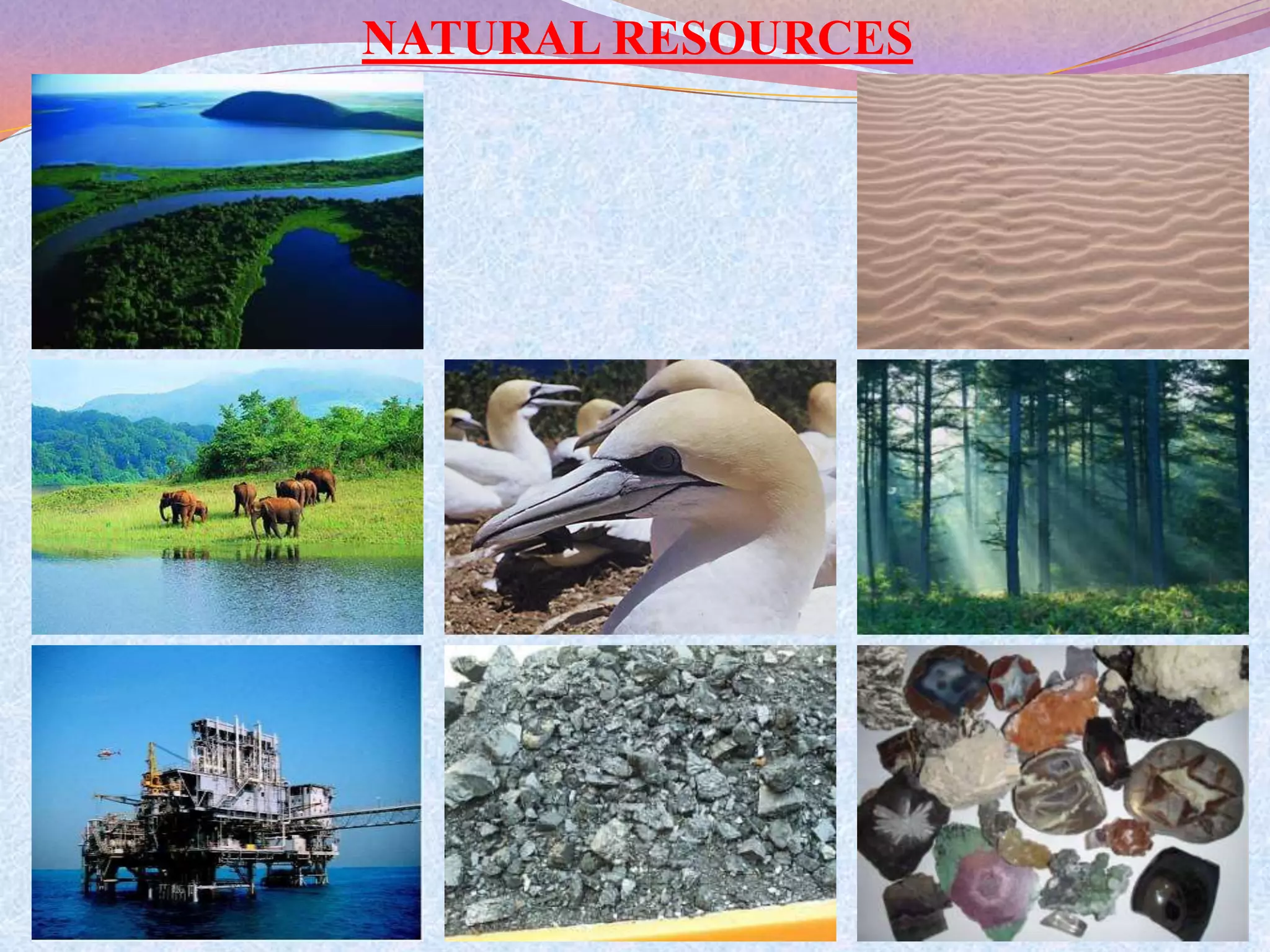 NATURAL RESOURCES
 