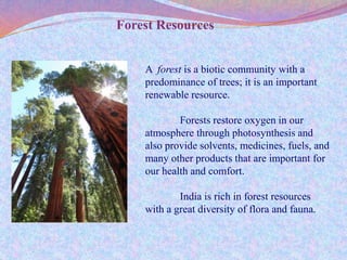 Forest Resources


    A forest is a biotic community with a
    predominance of trees; it is an important
    renewable resource.

            Forests restore oxygen in our
    atmosphere through photosynthesis and
    also provide solvents, medicines, fuels, and
    many other products that are important for
    our health and comfort.

            India is rich in forest resources
    with a great diversity of flora and fauna.
 