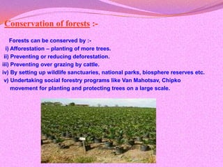 Conservation of forests :-
    Forests can be conserved by :-
  i) Afforestation – planting of more trees.
 ii) Preventing or reducing deforestation.
iii) Preventing over grazing by cattle.
iv) By setting up wildlife sanctuaries, national parks, biosphere reserves etc.
 v) Undertaking social forestry programs like Van Mahotsav, Chipko
     movement for planting and protecting trees on a large scale.
 