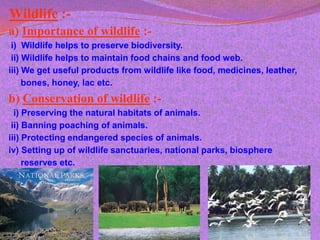 Wildlife :-
a) Importance of wildlife :-
 i) Wildlife helps to preserve biodiversity.
 ii) Wildlife helps to maintain food chains and food web.
iii) We get useful products from wildlife like food, medicines, leather,
     bones, honey, lac etc.
b) Conservation of wildlife :-
  i) Preserving the natural habitats of animals.
 ii) Banning poaching of animals.
iii) Protecting endangered species of animals.
iv) Setting up of wildlife sanctuaries, national parks, biosphere
     reserves etc.
 