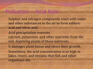 Pollution – Acid Rain
 Sulphur and nitrogen compounds react with water
  and other substances in the air to form sulfuric
  acid and nitric acid.
 Acid precipitation removes
  calcium, potassium, and other nutrients from the
  soil, depriving plants of these nutrients.
 It damages plant tissue and slows their growth.
 Sometimes, the acid concentration is so high in
  lakes, rivers, and streams that fish and other
  organisms die.
 