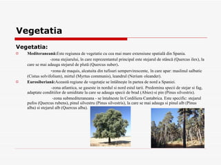 Vegetatia Vegetatia: Mediteraneană : Este regiunea de vegeta t ie cu cea mai mare extensiune spa t ială din Spania . -zona stejiarului,  în care reprezentantul principal este stejarul de stâncă (Quercus ilex), la care se mai adauga stejarul de plută (Quercus suber) . - zona de maquis, alc a tuit a  din tufi s uri sempervirescente ,   în care apar: m a slinul s a lbatic (Cistus solvifolium), mirtul (Myrtus communis), leandrul (Nerium   oleander) .   Eurosiberiană : Această regiune de vegetaţie se întâlneşte în partea de nord a Spaniei . -zona  atlantic a , se g a se s te  i n nordul  s i nord estul  ta rii .  Predomin a  specii de stejar  s i fag, adaptate condi t iilor de umiditate la care se adaug a  specii de brad (Abies)  s i pin (Pinus silvestris) .   - zona submediteranean a  - se înt a lne s te în Cordiliera Cantabric a.  Este specific: stejarul pufos (Quercus rubens), pinul silvestru (Pinus silvestris), la care se mai adaug a   s i pinul alb (Pinus alba)  s i stejarul alb (Quercus alba) .   