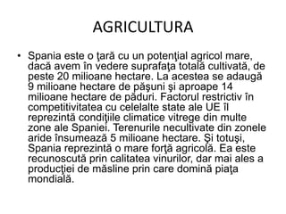 AGRICULTURA
• Spania este o ţară cu un potenţial agricol mare,
dacă avem în vedere suprafaţa totală cultivată, de
peste 20 milioane hectare. La acestea se adaugă
9 milioane hectare de păşuni şi aproape 14
milioane hectare de păduri. Factorul restrictiv în
competitivitatea cu celelalte state ale UE îl
reprezintă condiţiile climatice vitrege din multe
zone ale Spaniei. Terenurile necultivate din zonele
aride însumează 5 milioane hectare. Şi totuşi,
Spania reprezintă o mare forţă agricolă. Ea este
recunoscută prin calitatea vinurilor, dar mai ales a
producţiei de măsline prin care domină piaţa
mondială.
 