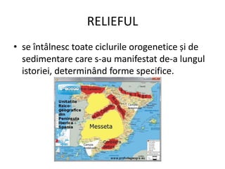 RELIEFUL
• se întâlnesc toate ciclurile orogenetice și de
sedimentare care s-au manifestat de-a lungul
istoriei, determinând forme specifice.
 