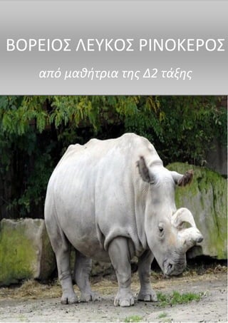 ΒΟΡΕΙΟΣ ΛΕΥΚΟΣ ΡΙΝΟΚΕΡΟΣ
από μαθήτρια της Δ2 τάξης
 