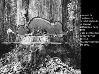 Un grupo de
trabajadores
forestales talando
un secuoya
californiano, hacia
1900.
Ομάδα ξυλοκόπων
Κόβουν δέντρο
σεκόγια
Καλιφόρνιας γύρω
στο 1900.
 