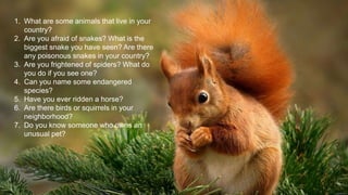 1. What are some animals that live in your
country?
2. Are you afraid of snakes? What is the
biggest snake you have seen? Are there
any poisonous snakes in your country?
3. Are you frightened of spiders? What do
you do if you see one?
4. Can you name some endangered
species?
5. Have you ever ridden a horse?
6. Are there birds or squirrels in your
neighborhood?
7. Do you know someone who owns an
unusual pet?