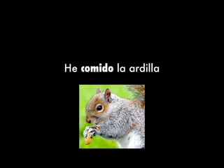 He comido la ardilla
 