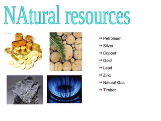 NAtural resources Petroleum  Silver Copper Gold Lead Zinc Natural Gas Timber  