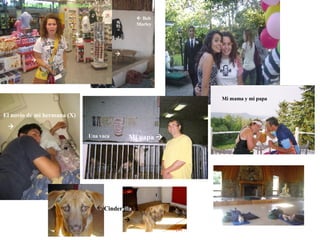 Mi hermana con su “dredlocks      Mi papa   Mi mama y mi papa Una vaca    Bob Marley El novio de mi hermana (X)  Cinder ella    