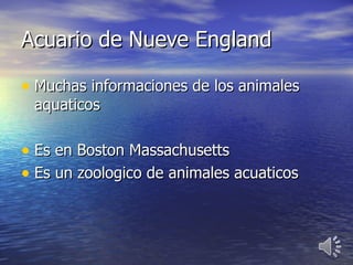 Acuario de Nueve England

• Muchas informaciones de los animales
 aquaticos

• Es en Boston Massachusetts
• Es un zoologico de animales acuaticos
 