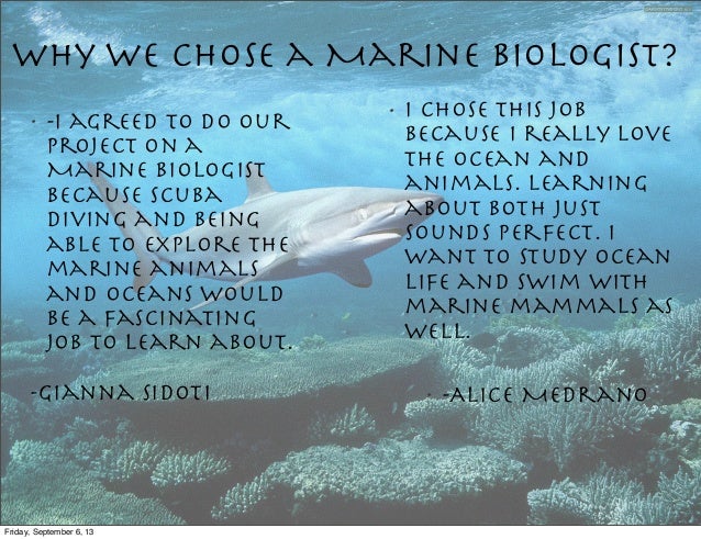friday september 6 13 8 why we chose a marine biologist