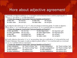 More about adjective agreement
 