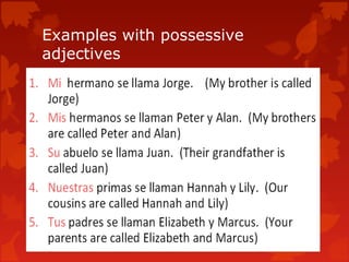 Examples with possessive
adjectives
 