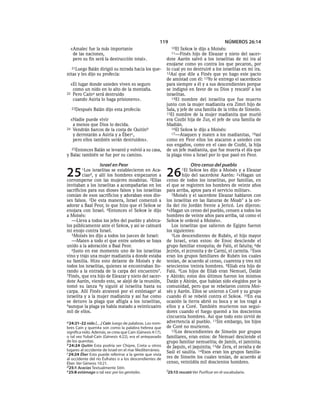 119                                    NÚMEROS 26:14
  «Amalec fue la más importante                               10El  SEÑOR le dijo a Moisés:
   de las naciones,                                           11—Finés     hijo de Eleazar y nieto del sacer-
   pero su fin será la destrucción total».                  dote Aarón salvó a los israelitas de mi ira al
                                                            enojarse como yo contra los que pecaron, por
   21Luego Balán dirigió su mirada hacia los que-           lo cual yo no destruiré a los israelitas en mi ira.
nitas y les dijo su profecía:                               12Así que dile a Finés que yo hago este pacto
                                                            de amistad con él: 13Yo le entrego el sacerdocio
  «El lugar donde ustedes viven es seguro                   para siempre a él y a sus descendientes porque
   como un nido en lo alto de la montaña.                   se indignó en favor de su Dios y rescatóf a los
22 Pero Caína será destruido                                israelitas.
   cuando Asiria lo haga prisionero».                          14El nombre del israelita que fue muerto
                                                            junto con la mujer madianita era Zimri hijo de
  23Después     Balán dijo esta profecía:                   Sala, y jefe de una familia de la tribu de Simeón.
                                                            15El nombre de la mujer madianita que murió
  «Nadie puede vivir                                        era Cozbí hija de Zur, el jefe de una familia de
   a menos que Dios lo decida.                              Madián.
24 Vendrán barcos de la costa de Quitínb                       16El SEÑOR le dijo a Moisés:
   y derrotarán a Asiria y a Éber c,                           17—Ataquen y maten a los madianitas, 18así
   pero ellos también serán destruidos».                    como en Peor ellos los atacaron a ustedes con
                                                            sus engaños, como en el caso de Cozbí, la hija
  25Entonces Balán se levantó y volvió a su casa,           de un jefe madianita, que fue muerta el día que
y Balac también se fue por su camino.                       la plaga vino a Israel por lo que pasó en Peor.

                   Israel en Peor                                          Otro censo del pueblo
25       1Los israelitas se establecieron en Aca-
         ciasd, y allí los hombres empezaron a
corromperse con las mujeres moabitas. 2Ellas
                                                            26       1El SEÑOR les dijo a Moisés y a Eleazar
                                                                    hijo del sacerdote Aarón: 2«Hagan un
                                                            censo de todos los israelitas, por familias, en
invitaban a los israelitas a acompañarlas en los            el que se registren los hombres de veinte años
sacrificios para sus dioses falsos y los israelitas         para arriba, aptos para el servicio militar».
comían de esos sacrificios y adoraban esos dio-                3Moisés y el sacerdote Eleazar hablaron con
ses falsos. 3De esta manera, Israel comenzó a               los israelitas en las llanuras de Moab* a la ori-
adorar a Baal Peor, lo que hizo que el SEÑOR se             lla del río Jordán frente a Jericó. Les dijeron:
enojara con Israel. 4Entonces el SEÑOR le dijo              4«Hagan un censo del pueblo, censen a todos los
a Moisés:                                                   hombres de veinte años para arriba, tal como el
   —Lleva a todos los jefes del pueblo y ahórca-            SEÑOR le ordenó a Moisés».
los públicamente ante el SEÑOR, y así se calmará               Los israelitas que salieron de Egipto fueron
mi enojo contra Israel.                                     los siguientes:
   5Moisés les dijo a todos los jueces de Israel:              5Los descendientes de Rubén, el hijo mayor
   —Maten a todo el que entre ustedes se haya               de Israel, eran estos: de Enoc desciende el
unido a la adoración a Baal Peor.                           grupo familiar enoquita; de Falú, el faluita; 6de
   6Justo en ese momento uno de los israelitas              Jezrón, el jezronita y de Carmí, el carmita. 7 Esos
vino y trajo una mujer madianita a donde estaba             eran los grupos familiares de Rubén los cuales
su familia. Hizo esto delante de Moisés y de                tenían, de acuerdo al censo, cuarenta y tres mil
todos los israelitas, quienes se encontraban llo-           setecientos treinta hombres. 8Eliab era hijo de
rando a la entrada de la carpa del encuentro*.              Falú. 9Los hijos de Eliab eran Nemuel, Datán
7Finés, que era hijo de Eleazar y nieto del sacer-          y Abirán; estos dos últimos fueron los mismos
dote Aarón, viendo esto, se alejó de la reunión,            Datán y Abirán, que habían sido elegidos por la
tomó su lanza 8y siguió al israelita hasta su               comunidad, pero que se rebelaron contra Moi-
carpa. Allí Finés atravesó por el estómagoe al              sés y Aarón. Ellos se unieron a Coré y su grupo
israelita y a la mujer madianita y así fue como             cuando él se rebeló contra el SEÑOR. 10En esa
se detuvo la plaga que afligía a los israelitas,            ocasión la tierra abrió su boca y se los tragó a
9aunque la plaga ya había matado a veinticuatro             ellos y a Coré. También murieron sus segui-
mil de ellos.                                               dores cuando el fuego quemó a los doscientos
                                                            cincuenta hombres. Así que todo esto sirvió de
a 24:21-22 nido [. . .] Caín Juego de palabras. Los nom-    advertencia al pueblo. 11Sin embargo, los hijos
bres Caín y quenita son como la palabra hebrea que          de Coré no murieron.
significa nido. Además, se creía que Caín (Génesis 4:17),      12Los descendientes de Simeón por grupos
o tal vez Yubal-Caín (Génesis 4:22), era el antepasado      familiares, eran estos: de Nemuel desciende el
de los quenitas.                                            grupo familiar nemuelita; de Jamín, el jaminita;
b 24:24 Quitín Esta podría ser Chipre, Creta u otros
                                                            de Jaquín, el jaquinita; 13de Zera, el zeraíta y de
lugares al occidente de Israel en el mar Mediterráneo.      Saúl el saulita. 14Esos eran los grupos familia-
c 24:24 Éber Esto puede referirse a la gente que vivía
al occidente del río Éufrates o a los descendientes de      res de Simeón los cuales tenían, de acuerdo al
Éber. Ver Génesis 10:21.                                    censo, veintidós mil doscientos hombres.
d 25:1 Acacias Textualmente Sitín.
e 25:8 estómago o tal vez: por los genitales.               f 25:13 rescató Ver Purificar en el vocabulario.
 