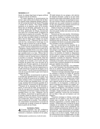 Spanish bible 80__old_testament