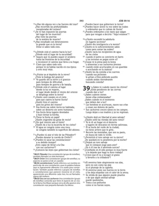 Spanish bible 80__old_testament