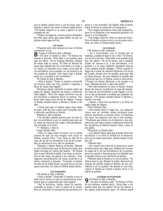 47                                       ÉXODO 9:3
eso el faraón siguió terco y no les hizo caso a      gente y a los animales. En Egipto todo el polvo
Moisés y Aarón, tal como el SEÑOR había dicho.       sobre la tierra se convirtió en mosquitos.
23El faraón regresó a su casa e ignoró lo que          18Los magos intentaron crear más mosquitos,
acababa de ver.                                      pero no lo lograron y los mosquitos picaron a la
  24Todos los egipcios cavaron pozos alrededor       gente y a los animales.
del Nilo para sacar agua para beber ya que no          19Los magos dijeron: «Esto es obra de Dios».
podían sacar agua del río.                           Pero el faraón se puso terco y no los quiso escu-
                                                     char, tal como el SEÑOR había dicho.
                   Las ranas
  25Pasaron   siete días después de que el SEÑOR                       Las moscas
transformó el río.                                     20El  SEÑOR le dijo a Moisés:

8    1Luego el SEÑOR le dijo a Moisés:
     —Ve ante el faraón y dile: “El SEÑOR me
mandó a decirte: ‘Deja libre a mi pueblo para
                                                        —Ve a encontrarte con el faraón por la
                                                     mañana, cuando él baje al río y dile: “El SEÑOR,
                                                     me envió a decirte: ‘Deja libre a mi pueblo para
que me adore. 2Si no aceptas librarlos, llenaré      que me adore. 21Si no lo haces, voy a mandar
de ranas toda tu tierra. 3El Nilo se llenará de      nubes de moscas a ti, a tus servidores, a tu
ranas que saldrán del río y entrarán a tu casa, a    pueblo y a tu casa; también mandaré moscas
tu cuarto, se meterán en tu cama, en la casa de      a los campos donde trabajan. 22Pero cuando lo
tus servidores, en tu pueblo, en tus hornos y en     haga voy a tratar de manera diferente a la tierra
tus vasijas de amasar. 4Las ranas irán a donde       de Gosén, donde vive mi pueblo, para que allá
estén tú, tu pueblo y tus servidores’”.              no haya moscas. De esta manera te podrás dar
   5El SEÑOR le dijo a Moisés:                       cuenta de que yo, el SEÑOR, estoy en esta tierra.
   —Dile a Aarón: “Toma tu bastón y extiende         23Trataré en forma diferente a mi pueblo y al
tus brazos sobre los ríos, canales y lagunas y       tuyo. Mañana llevaré a cabo esta señal’”.
llena de ranas todo Egipto”.                            24Así efectivamente lo hizo el SEÑOR. Nubes
   6Entonces Aarón extendió su brazo sobre las       llenas de moscas invadieron la casa del faraón,
aguas de Egipto, llegaron las ranas y cubrieron      las casas de sus servidores y todo Egipto. La tie-
todo Egipto. 7 Pero los magos hicieron uso de        rra se iba arruinando a medida que pasaban las
sus hechizos y lograron hacer lo mismo. Tra-         moscas. 25El faraón mandó llamar a Moisés y
jeron más ranas a las tierras de Egipto. 8Luego      Aarón y les dijo:
el faraón mandó llamar a Moisés y Aarón y les           —Vayan a ofrecerle sacrificios a su Dios en
dijo:                                                algún lugar de Egipto.
   —Oren para que el SEÑOR saque esas ranas             26Pero Moisés dijo:
de aquí. Sólo así voy a dejar que el pueblo vaya        —No estaría bien si hago eso. Los egipcios
a ofrecerle sacrificios al SEÑOR.                    creen que es terrible matar animales para
   9Moisés le dijo al faraón:                        ofrecer sacrificios a nuestro Dios. Si hacemos
   —Tú decides cuándo quieres que ore por ti,        eso aquí, los egipcios nos van a tirar piedras.
por tus servidores y por tu pueblo para que así      27 Tenemos que entrar en el desierto a una dis-
se vayan las ranas de sus casas y sólo permanez-     tancia de tres días y luego sí podremos ofrecerle
can metidas en el Nilo.                              los sacrificios al SEÑOR nuestro Dios, como él
   10—Mañana —dijo él.                               nos pidió.
   Luego Moisés dijo:                                   28Entonces el faraón dijo:
   —Que se haga como tú dices, así te darás             —Los dejaré libres para que puedan ofrecerle
cuenta de que no hay ningún otro como el             sacrificios a su Dios el SEÑOR en el desierto,
SEÑOR, nuestro Dios. 11Las ranas se irán de tu       pero no se vayan muy lejos. ¡Ahora vayan y oren
casa, de las de tus servidores y de las de tu pue-   por mí!
blo; se meterán al río y ahí se quedarán.               29Moisés dijo:
   12Moisés y Aarón dejaron al faraón. Moisés           —En cuanto me retire de tu presencia, oraré
le oró al SEÑOR para que se llevara las ranas que    al SEÑOR para que haga que mañana las moscas
había enviado en contra del faraón. 13El SEÑOR       se vayan de ti, de tus servidores y de tu pueblo,
hizo lo que Moisés le pidió. Las ranas se murie-     pero no vuelvas a traicionarnos ni a impedir que
ron en las casas, los patios y los campos. 14Los     el pueblo ofrezca sus sacrificios al SEÑOR.
egipcios amontonaron las ranas muertas y la             30Moisés dejó al faraón y le oró al SEÑOR. 31El
tierra comenzó a apestar. 15Cuando el faraón         SEÑOR hizo lo que Moisés le pidió. Removió las
vio que ya no había ranas, se puso terco y no los    moscas de donde estaba el faraón, de sus ser-
quiso escuchar, tal como el SEÑOR había dicho.       vidores y de su pueblo. No quedó ni una sola,
                                                     32pero el faraón se volvió a poner terco y no
                Los mosquitos                        liberó al pueblo.
  16El SEÑOR le dijo a Moisés:
  —Dile a Aarón: “Extiende tu bastón y toca el                   La plaga en el ganado
polvo de la tierra, el cual se convertirá en mos-
quitos que se esparcirán por todo Egipto”.
  17Así lo hicieron. Aarón tomó su bastón,
                                                     9   1El SEÑOR le dijo a Moisés:
                                                         —Ve ante el faraón y dile: “El SEÑOR, el Dios
                                                     de los hebreos manda decir: ‘¡Deja libre a mi
extendió su brazo y tocó el polvo de la tierra.      pueblo para que me adore! 2Si no los liberas y
Este se convirtió en mosquitos que picaron a la      los sigues manteniendo aquí, 3el SEÑOR usará
 