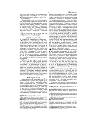 5                                          GÉNESIS 7:11
setecientos ochenta y dos años y durante ese                      Así que pronto los destruiré a ellos y al mundo
tiempo tuvo más hijos e hijas. 27 En total Matu-                  entero.e 14 Constrúyete un barco de madera de
salén vivió novecientos sesenta y nueve años y                    ciprésf, con habitacionesg y cúbrelo con brea
a esa edad murió.                                                 por dentro y por fuera. 15Construye el barco de
   28Cuando Lamec tenía ciento ochenta y dos                      este tamaño: ciento treinta y cinco metros de
años, tuvo un hijo. 29Lo llamó Noéa y dijo: «Él                   largo, veintidós metros y medio de ancho y trece
nos hará descansar del trabajo duro que nos toca                  metros y medio de alto.h 16Hazle una ventana i a
porque el SEÑOR maldijo la tierra». 30Después                     cuarenta y seis centímetros del techo. j El barco
del nacimiento de Noé, Lamec vivió quinien-                       debe tener tres pisos y constrúyele una puerta
tos noventa y cinco años y durante ese tiempo                     en uno de sus lados. 17 Estoy a punto de enviar
tuvo más hijos e hijas. 31En total Lamec vivió                    un gran diluvio a la tierra para destruir todo ser
setecientos setenta y siete años y a esa edad                     bajo el cielo que tenga aliento de vida.k Todo en
murió.                                                            la tierra morirá, 18pero haré un pacto contigo.
   32A los quinientos años de edad, Noé tuvo                      Tú entrarás al barco con tus hijos, tu esposa y
tres hijos llamados Sem, Cam y Jafet.                             tus nueras. 19Mete al barco una pareja de cada
                                                                  especie de todos los animales, para que sobrevi-
             La gente se vuelve mala                              van contigo. Esa pareja debe ser un macho y una

6   1Cuando    los seres humanos comenzaron a
    multiplicarse, a extenderse por toda la tie-
rra, y tuvieron hijas, 2los hijos de Dios vieron
                                                                  hembra. 20Dos de cada especie de aves, de cada
                                                                  especie de animal y de cada especie de criatura
                                                                  que se arrastra por el suelo, vendrán a ti para
que las hijas de los seres humanos eran her-                      que sobrevivan. 21También debes almacenar y
mosas. Así que eligieron y se casaron con las                     llevar un poco de cada tipo de comida para que
que quisieron. 3El SEÑOR dijo: «Mi espíritu no                    se alimenten tú y los animales». 22Noé hizo todo
se quedaráb en los humanos para siempre por-                      exactamente como Dios le ordenó.
que ellos son mortales. Tan sólo vivirán ciento
veinte años».c 4Los gigantesd vivían en la tierra
en esos días (y también después), cuando los
                                                                  7    1Después el SEÑOR le dijo a Noé: «Entren tú
                                                                       y tu familia al barco porque he visto que en
                                                                  esta generación tú eres el único hombre justo.
hijos de Dios tuvieron relaciones sexuales con                    2Lleven con ustedes siete pares de animales
las hijas de los seres humanos y ellas tuvieron                   purosl, macho y hembra, y lleven también un
hijos con ellos. Son los héroes famosos de tiem-                  par, macho y hembra, de cada animal impuro.
pos antiguos.                                                     3Además siete pares, macho y hembra, de cada
   5El SEÑOR vio que la gente en la tierra era                    ave en el cielo para conservar también su espe-
muy mala y que todo lo que siempre pensaban                       cie. 4Ya que en siete días haré que llueva por
no era más que maldad. 6El SEÑOR lamentó                          cuarenta días y cuarenta noches, y así borraré
haber creado a los seres humanos en la tierra y                   de la faz de la tierra a todo ser viviente que
esto llenó su corazón de tristeza. 7 Entonces el                  he creado». 5Noé hizo todo lo que le ordenó
SEÑOR dijo: «Borraré de la faz de la tierra al ser                el SEÑOR.
humano que yo he creado. Destruiré a los seres                       6Noé tenía seiscientos años de edad cuando
humanos, a los animales domésticos, a los que                     el diluvio inundó la tierra. 7 Entonces Noé, sus
se arrastran por el suelo y a las aves del cielo                  hijos, su esposa y las esposas de sus hijos entra-
porque lamento haberlos hecho». 8Sin embargo,                     ron al barco para escapar del diluvio. 8Cada
el SEÑOR tenía un buen concepto de Noé.                           especie animal pura e impura, aves y criaturas
                                                                  que se arrastran por el suelo, 9subió al barco
                Noé y el gran diluvio                             con Noé en pares, macho y hembra, tal como
   9Esta es la historia de la familia de Noé. Él era              Dios había dicho. 10Siete días después, el dilu-
un hombre justo y honesto entre la gente de esa                   vio comenzó a inundar la tierra.
época, y vivía de acuerdo a la voluntad de Dios.                     11El año que Noé cumplió seiscientos años, el
10Noé tuvo tres hijos: Sem, Cam y Jafet. 11Ante                   día diecisiete del segundo mes, todas las fuentes
los ojos de Dios, la tierra se había corrompido,
porque estaba llena de violencia. 12Cuando Dios                   e 6:13 los destruiré a ellos y al mundo entero o los des-
vio que la tierra estaba arruinada porque todo                    truiré a ellos de la tierra.
                                                                  f 6:14 madera de ciprés Textualmente dice madera de
ser humano llevaba una vida corrupta, 13le dijo
a Noé: «He decidido acabar con todos los seres                    gofer pero no se sabe con certeza qué tipo de madera
                                                                  era esa.
vivientes porque la tierra está llena de violencia.               g 6:14 con habitaciones o también: tapa las uniones de
                                                                  las tablas. Se utilizaban pequeñas plantas para rellenar
a 5:29 Noé Este nombre significa descanso.                        las uniones entre las tablas.
b 6:3 se quedará El hebreo es oscuro. Otras posibles              h 6:15 Textualmente las medidas están dadas en codos.
traducciones: juzgará, soportará o se molestará.                  Ver tabla de pesas y medidas.
c 6:3 o El espíritu no se quedará en la gente para siempre        i 6:16 ventana También techo.
porque ellos son carne, sólo los dejaré vivir ciento veinte       j 6:16 Si se entiende techo en vez de ventana se debe
años. O Mi Espíritu no juzgará a la gente para siempre            cambiar el sentido quizás por: Construye un techo que
porque todos ellos morirán en ciento veinte años.                 al terminarlo tenga un desnivel de cuarenta y seis cen-
d 6:4 gigantes Textualmente nefilín. Este nombre es               tímetros.
similar a la palabra hebrea que significa Gente que ha            k 6:17 aliento de vida Textualmente espíritu de vida.
caído. Tiempo después ellos fueron guerreros de gran              l 7:2 animales puros Animales que reunían los requisi-
estatura. Ver Números 13:32,33.                                   tos de Dios para usarse en sacrificios.
 