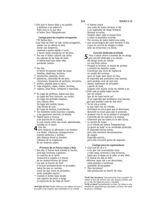 Spanish bible 80__old_testament