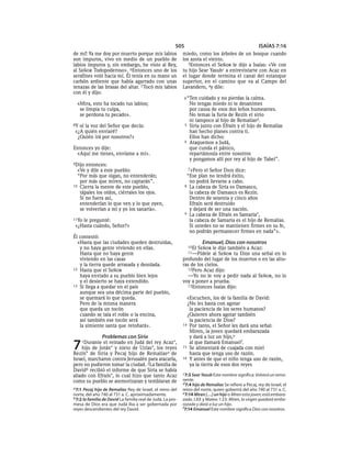 Spanish bible 80__old_testament