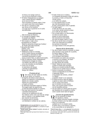 Spanish bible 80__old_testament