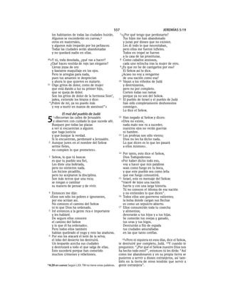 Spanish bible 80__old_testament